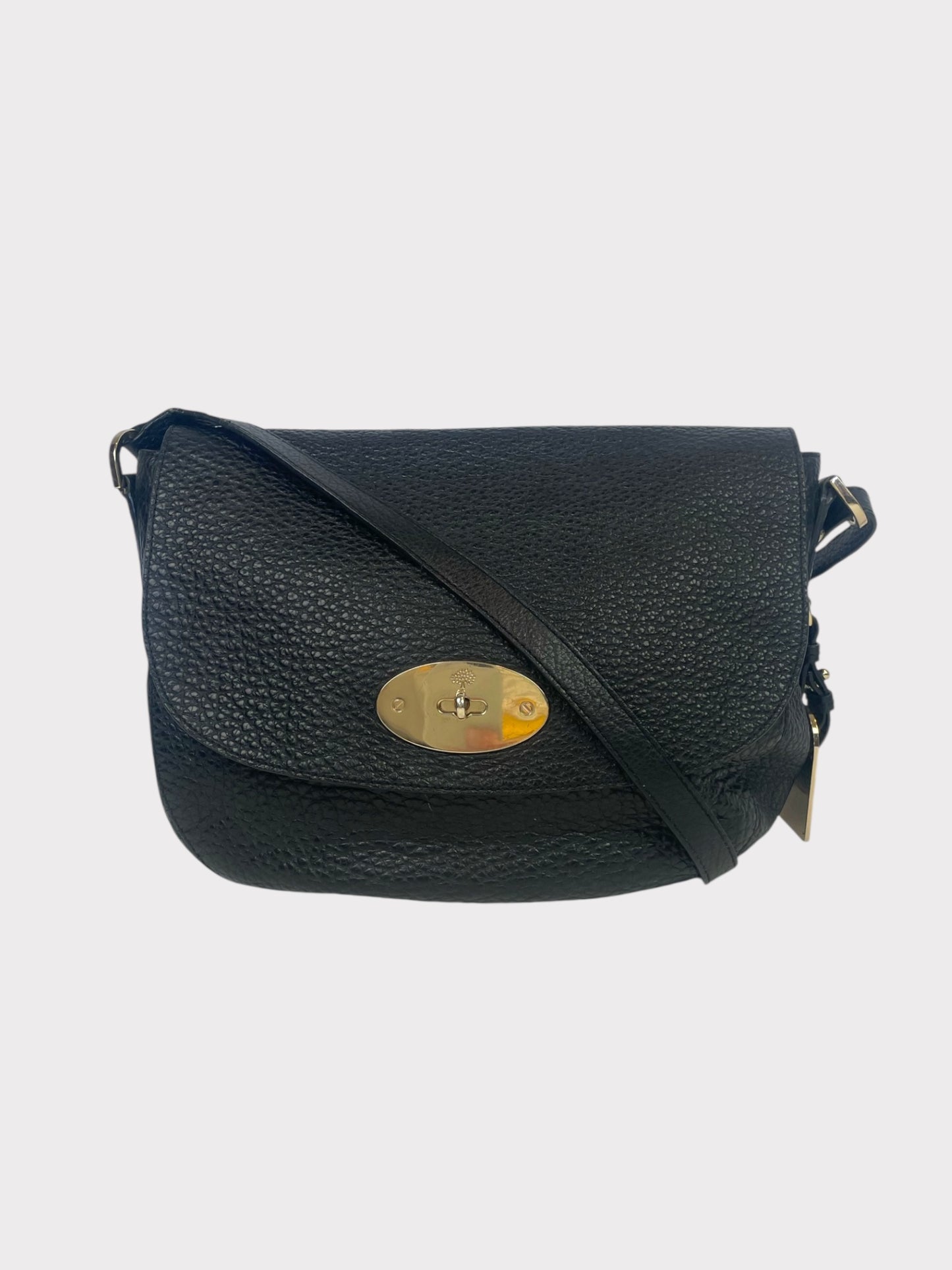 Mulberry Bag