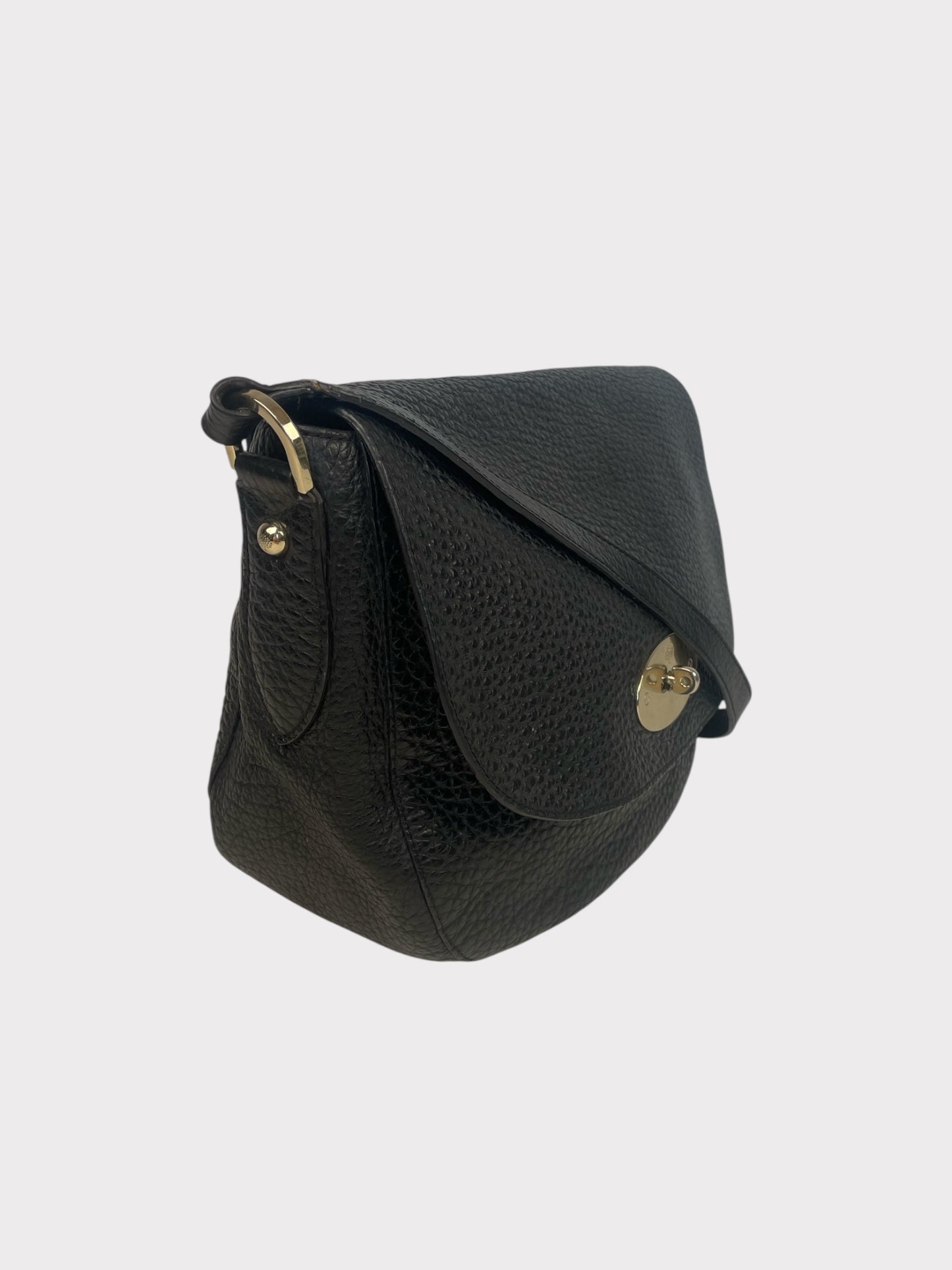 Mulberry Bag