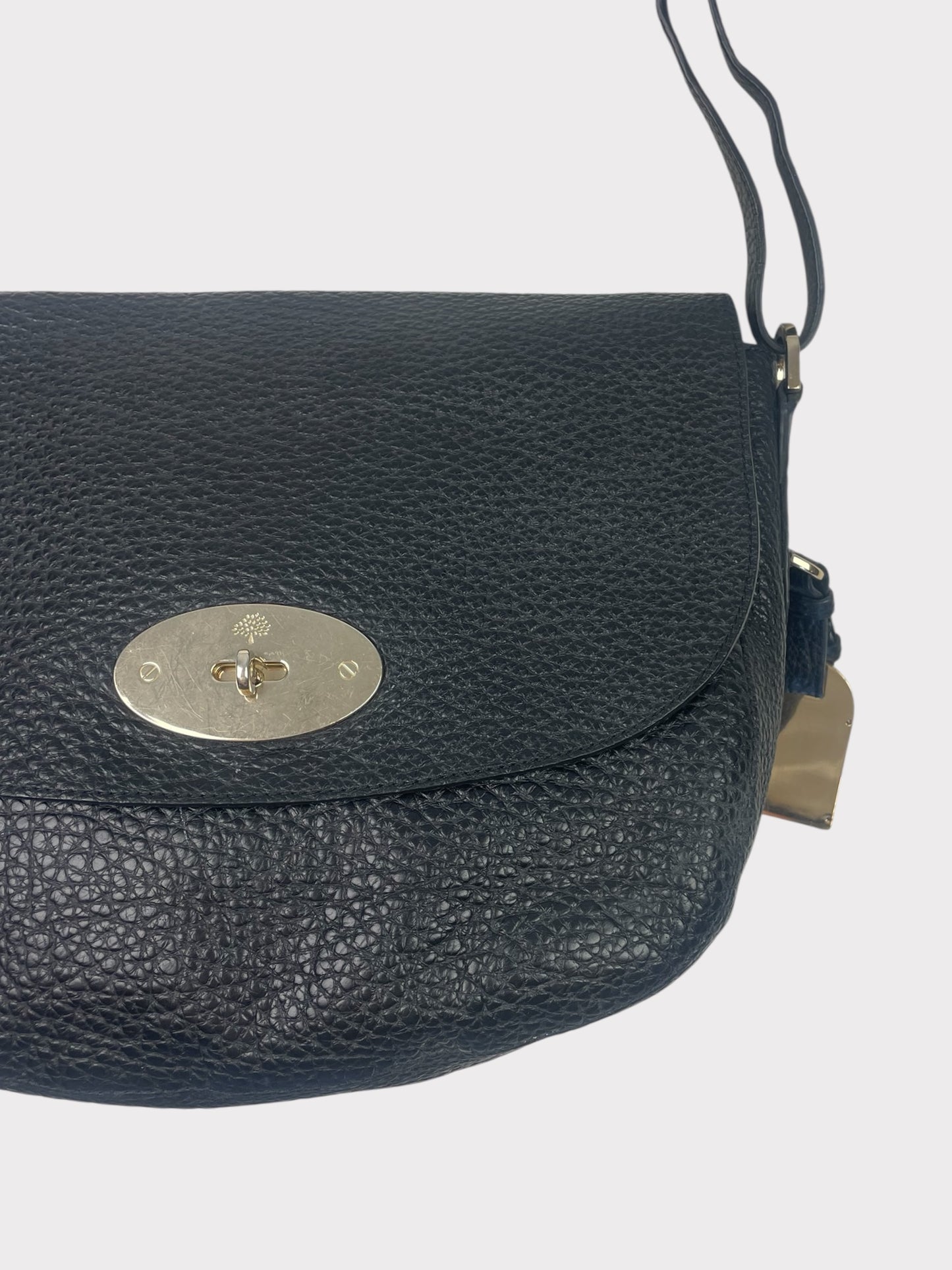 Mulberry Bag
