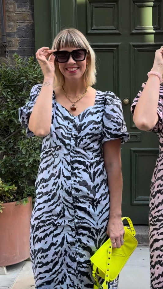 Scamp & Dude Dress, Size 10, BNWT